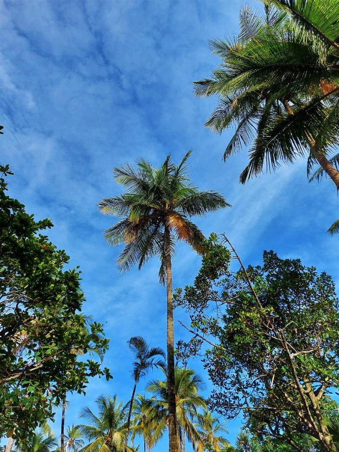 Apto frente a Praia das Pitangueiras - Centro Guarujá Exterior foto